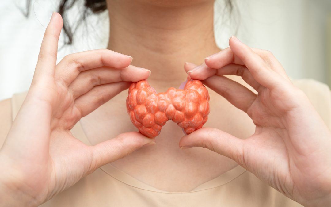 Hyperthyroidism, Overactive Thyroid, Thyroid Lymphoma, Asian woman with thyroid gland human anatomy model.