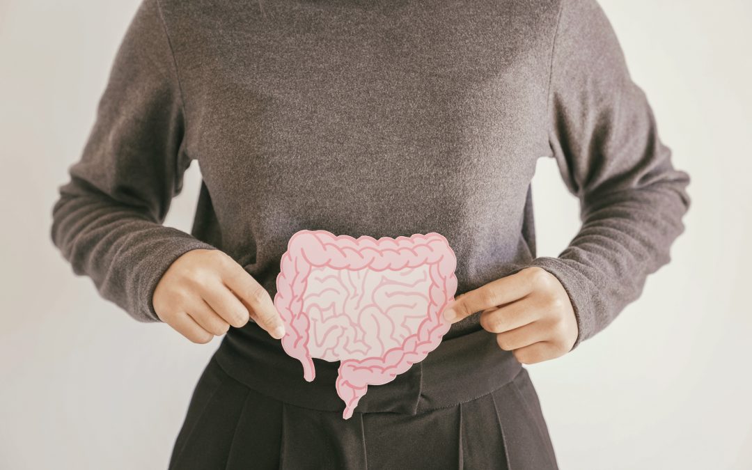 Woman hands holding intestine shape, healthy bowel digestion, leaky gut, probiotic and prebiotic for gut health, colon, gastric, stomach cancer concept